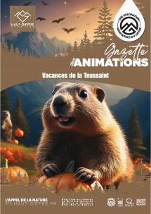 Le programme des animations de la Toussaint