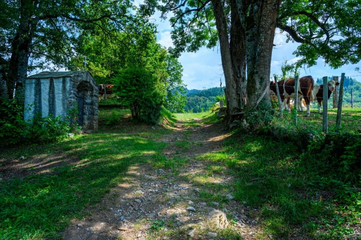 Châtillon sur Cluses