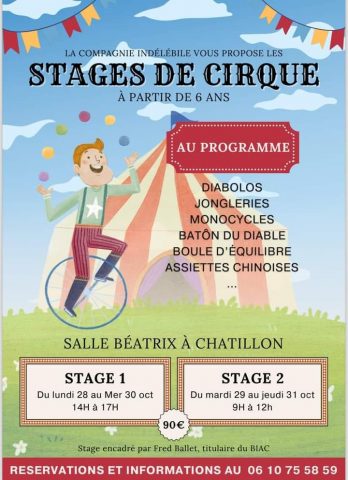 Stage de cirque