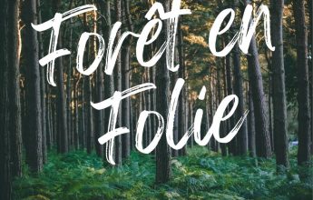 Forêt en folie