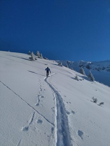 Ski de Randonnée