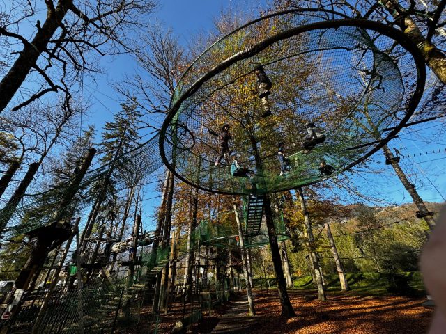 Les cages de l’écureuil_Morillon