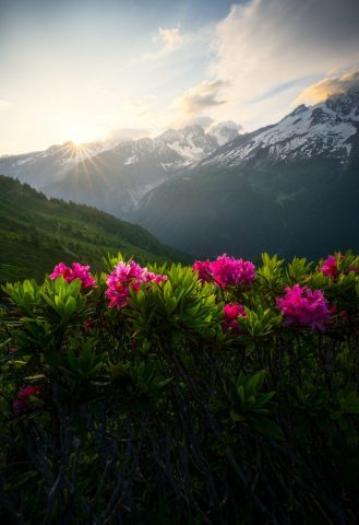 Matin à Chamonix – Jamil Slim