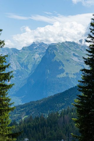 Itinéraire pédestre : La Croix des 7 Frères_Morillon