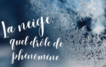 La neige, mais quel drôle de phénomène !