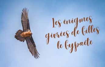 Les énigmes givrées de Gilles le Gypaète