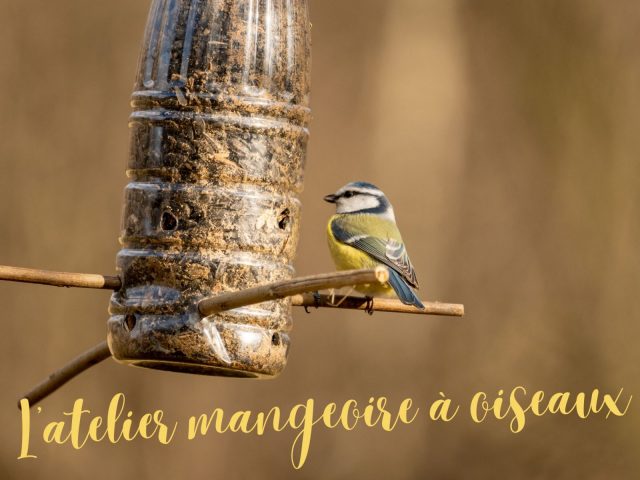 L’Atelier Mangeoire à oiseaux_Morillon