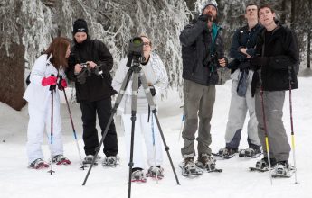 Randonnée accompagnée en raquettes : paysage et histoires de montagne